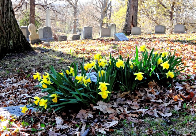 graveyard2_640